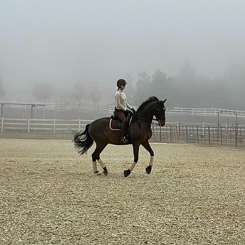 21-1120 Riding in Mist sq