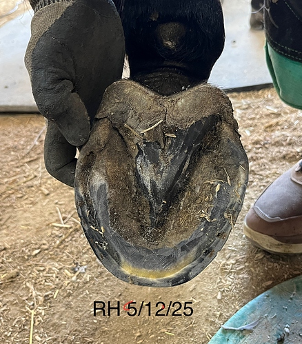 2025-05-12 RH