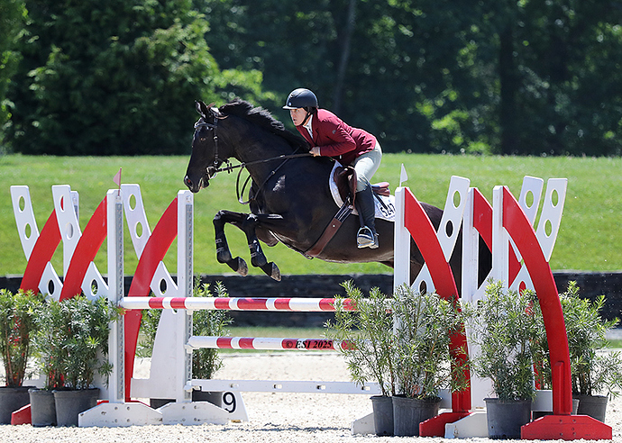 Horse2_LOW_RES_HARTLEY