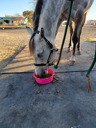 eating