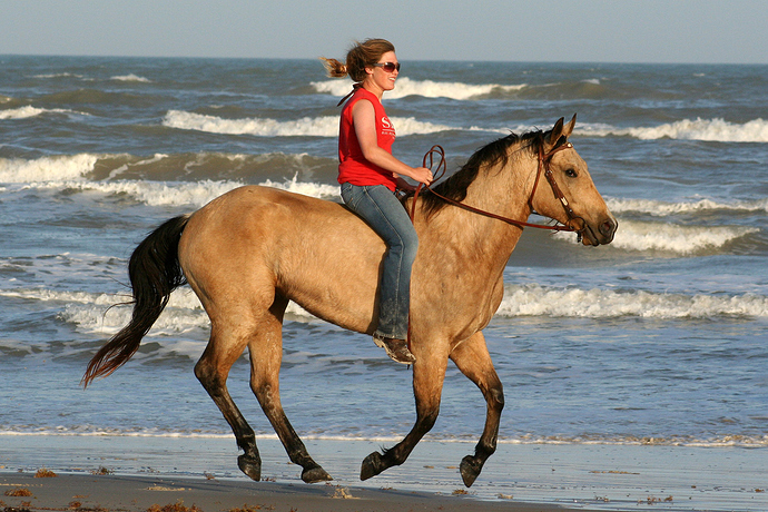 meandtango