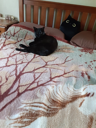 Pharaoh and Black Cat Pillow 9323