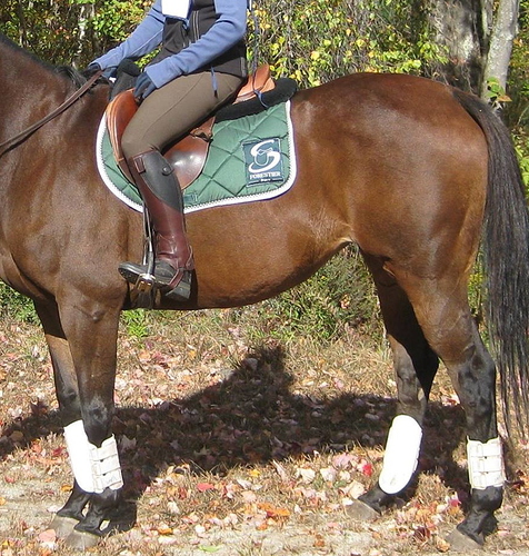 half chaps