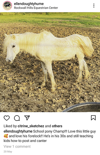 Screenshot_20210702-152554_Instagram_copy_1080x1675