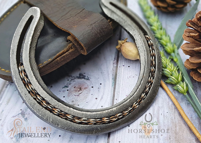 braidwholeshoewatermarked-2000x1429
