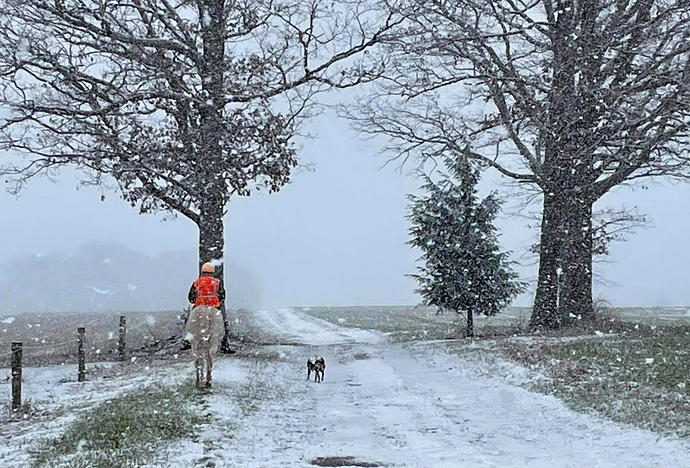 IMG_1296_snow_walk_wk