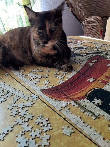 Puzzle nightg