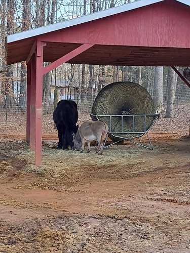 hay rack and net