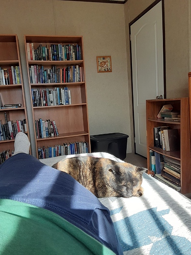 Little Bit and Deb on Bed 11924