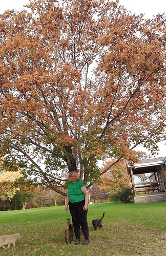 Deb with Eastern Sugar Maple and Cats 102423