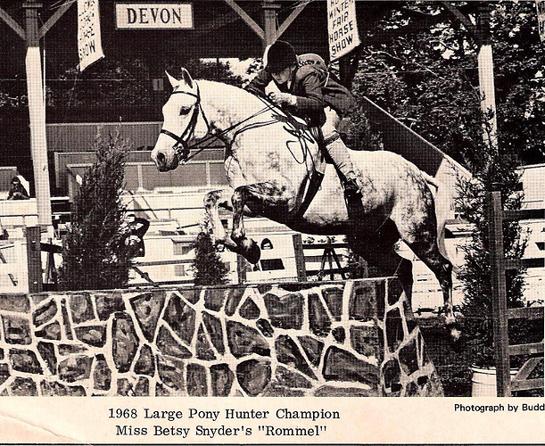 Rommel1968Devon-a
