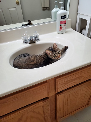 Marie sink 1