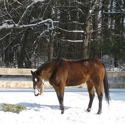 MY hay.