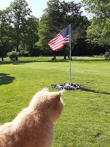 Cotton on Memorial Day Weekend 2023