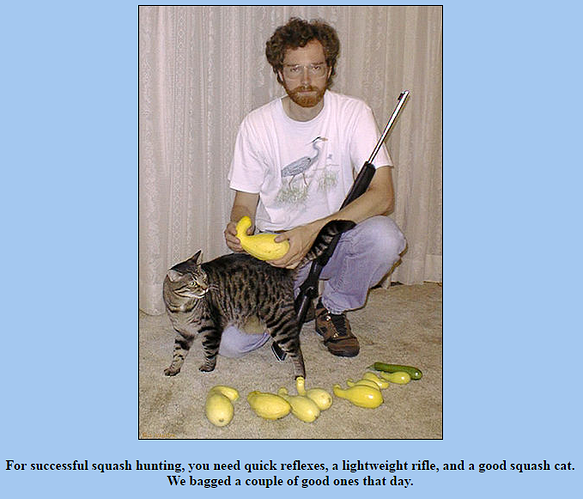 Squash cat