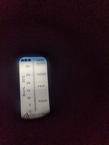 PXL_20250403_022444722