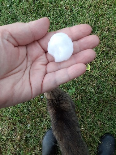 Hail 071723