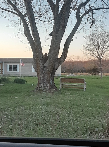 Rascal High in Front Yard Tree 032821