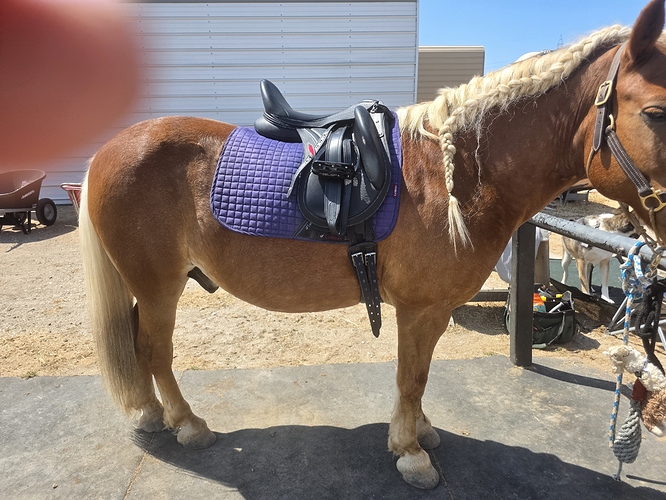 before lunging