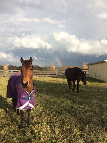 12-21 F & G rainbow
