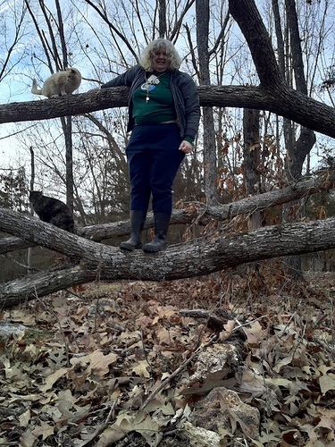 Deb, Cotton, and Rascal in Fallen Tree 020124