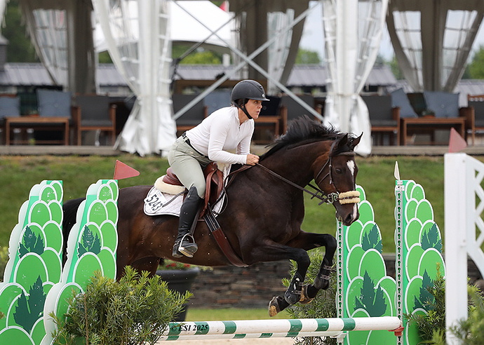 Horse1_LOW_RES_HARTLEY4