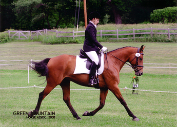 GMHA Dressage 2008