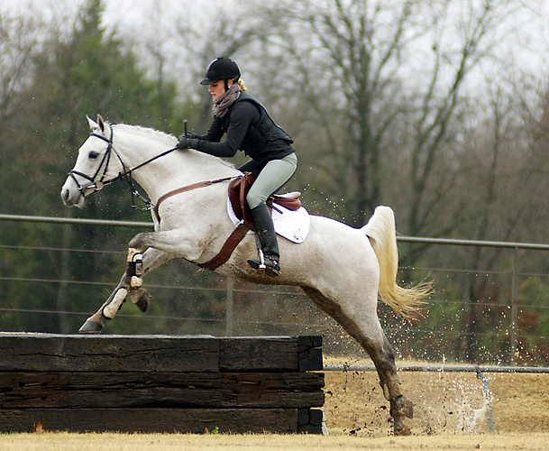 Photos - 10308crop
