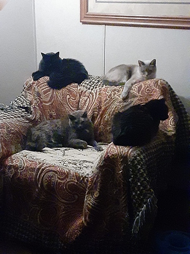 Mystery, Atticus, Pharaoh, Solo 012224