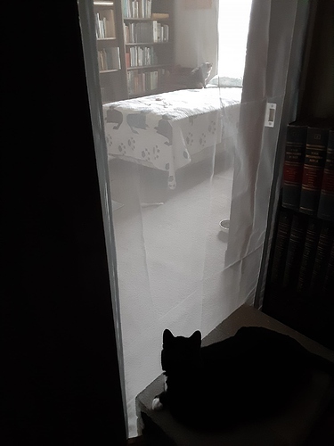 Brio Watching Little Bit through Screen 012724