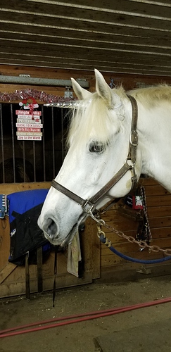Jake Unicorn 2