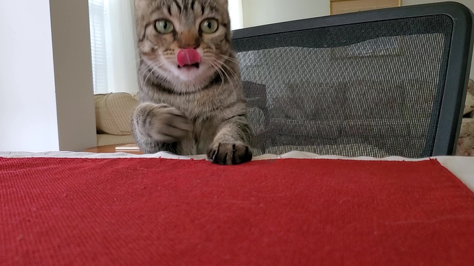 cat table 2