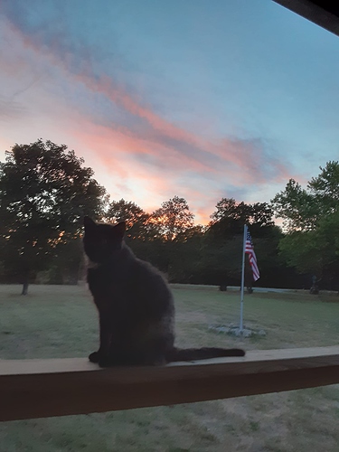 Rascal at Sunset 8722