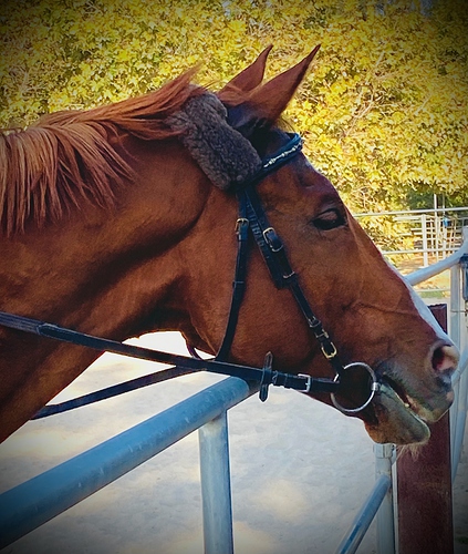 Joseph19Sept23