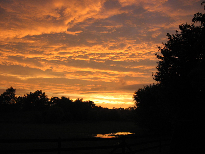 Sunset