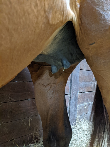 PXL_20250412_010116854.MP