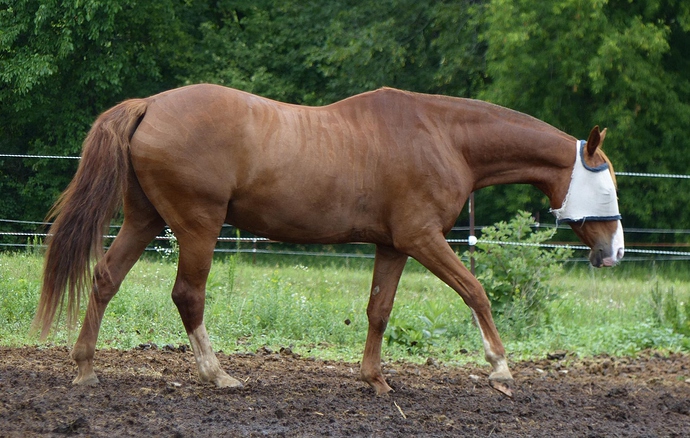 RoryBlog923