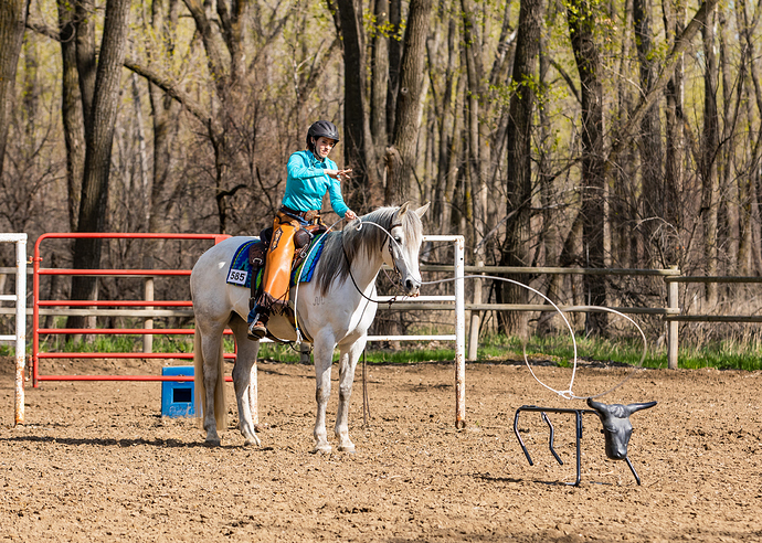 2022-05-22 AQHA MRC trail Lilly 1  no WM