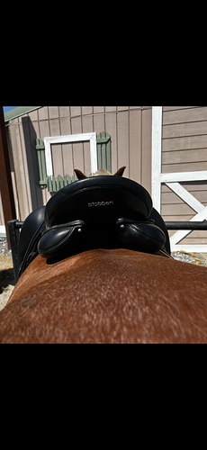 aramis II rear view