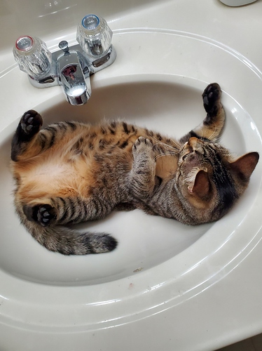 Marie sink 2