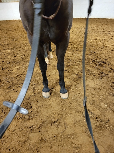 Pony Front