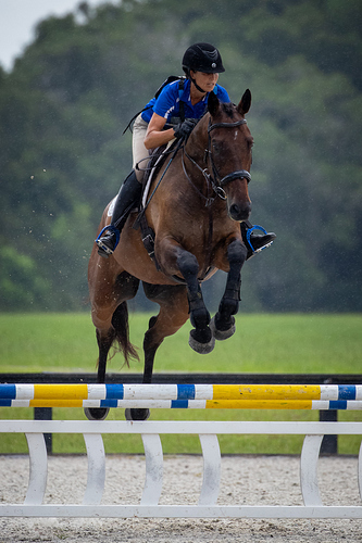 At Close Range Florida Horse Park POP July 14th 2024 photo by BNB Photography