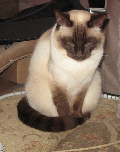 Gladys