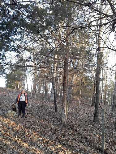 Deb and Rascal in Woods 13122