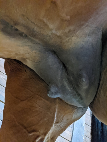 PXL_20250411_223308442