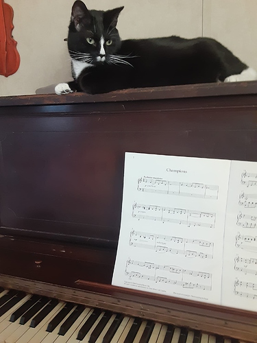 Brio Critiquing My Piano Technique 20922