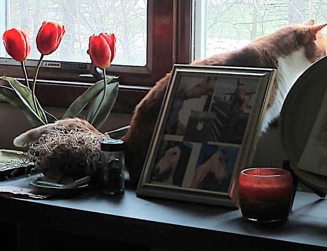 IMG_20250330_182549457_MP