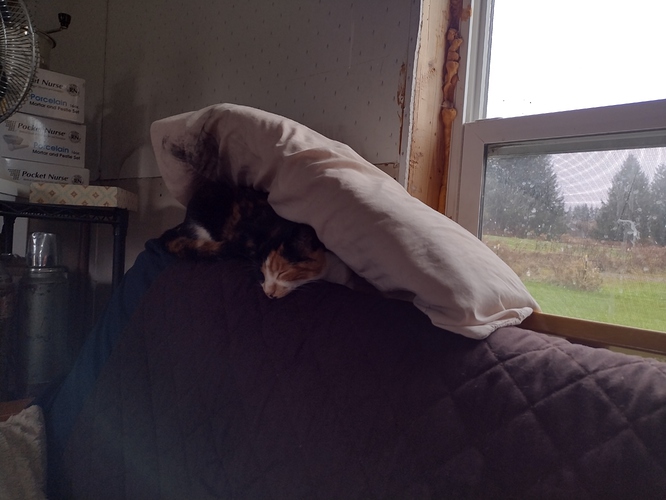 IMG_20241110_134933337_HDR