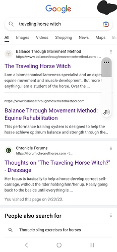 Screenshot_20230325_071459_Samsung Internet