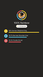 Rainbow's Results From Embark